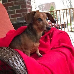 Meet your Posher, Jeana